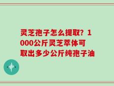 灵芝孢子怎么提取？1000公斤灵芝萃体可取出多少公斤纯孢子油
