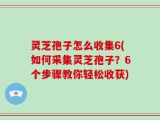 灵芝孢子怎么收集6(如何采集灵芝孢子？6个步骤教你轻松收获)
