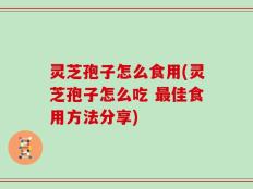 灵芝孢子怎么食用(灵芝孢子怎么吃 最佳食用方法分享)