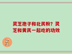 灵芝孢子和北芪粉？灵芝和黄芪一起吃的功效