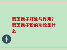 灵芝孢子好处与作用？灵芝孢子粉的功效是什么