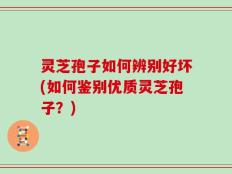 灵芝孢子如何辨别好坏(如何鉴别优质灵芝孢子？)
