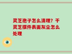 灵芝孢子怎么清理？干灵芝摆件表面灰尘怎么处理