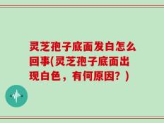 灵芝孢子底面发白怎么回事(灵芝孢子底面出现白色，有何原因？)