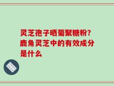 灵芝孢子晒葡聚糖粉？鹿角灵芝中的有效成分是什么