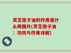 灵芝孢子油的作用是什么呢图片(灵芝孢子油：功效与作用详解)