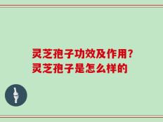 灵芝孢子功效及作用？灵芝孢子是怎么样的