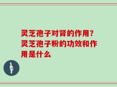 灵芝孢子对肾的作用？灵芝孢子粉的功效和作用是什么