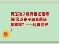 灵芝孢子属真菌还是霉菌(灵芝孢子属真菌还是霉菌？——科普简述)