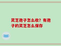 灵芝孢子怎么收？有孢子的灵芝怎么保存