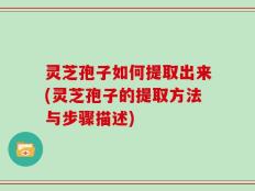 灵芝孢子如何提取出来(灵芝孢子的提取方法与步骤描述)