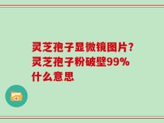 灵芝孢子显微镜图片？灵芝孢子粉破壁99%什么意思