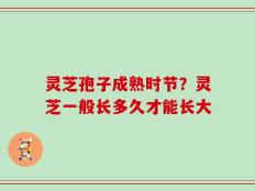 灵芝孢子成熟时节？灵芝一般长多久才能长大