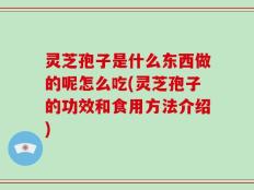 灵芝孢子是什么东西做的呢怎么吃(灵芝孢子的功效和食用方法介绍)