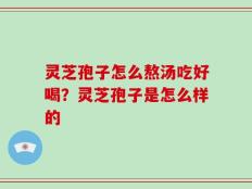 灵芝孢子怎么熬汤吃好喝？灵芝孢子是怎么样的