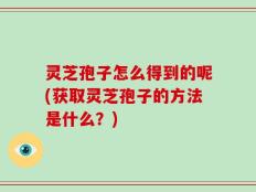 灵芝孢子怎么得到的呢(获取灵芝孢子的方法是什么？)