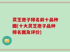 灵芝孢子排名前十品种图(十大灵芝孢子品种排名图及评价)