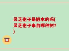 灵芝孢子是椴木的吗(灵芝孢子来自哪种树？)