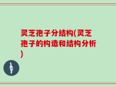 灵芝孢子分结构(灵芝孢子的构造和结构分析)
