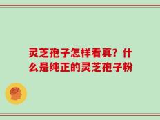灵芝孢子怎样看真？什么是纯正的灵芝孢子粉