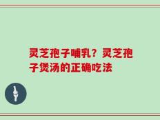 灵芝孢子哺乳？灵芝孢子煲汤的正确吃法