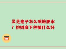灵芝孢子怎么喷施肥水？桃树底下种植什么好
