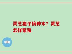 灵芝孢子接种木？灵芝怎样繁殖