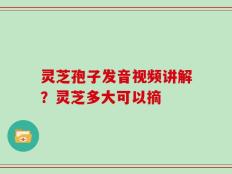 灵芝孢子发音视频讲解？灵芝多大可以摘