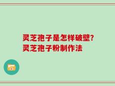 灵芝孢子是怎样破壁？灵芝孢子粉制作法