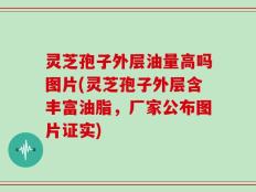 灵芝孢子外层油量高吗图片(灵芝孢子外层含丰富油脂，厂家公布图片证实)