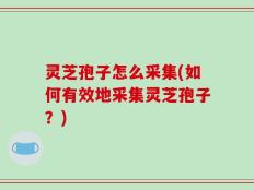 灵芝孢子怎么采集(如何有效地采集灵芝孢子？)