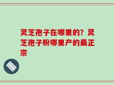 灵芝孢子在哪里的？灵芝孢子粉哪里产的最正宗