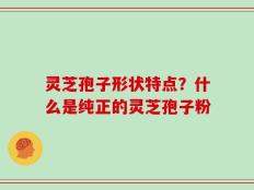 灵芝孢子形状特点？什么是纯正的灵芝孢子粉