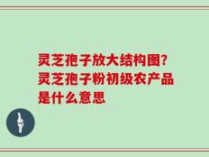 灵芝孢子放大结构图？灵芝孢子粉初级农产品是什么意思
