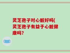 灵芝孢子对心脏好吗(灵芝孢子有益于心脏健康吗？