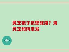 灵芝孢子孢壁硬度？海灵芝如何泡发