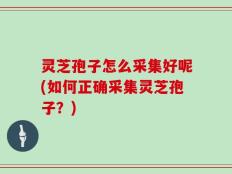 灵芝孢子怎么采集好呢(如何正确采集灵芝孢子？)