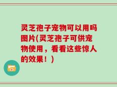 灵芝孢子宠物可以用吗图片(灵芝孢子可供宠物使用，看看这些惊人的效果！)