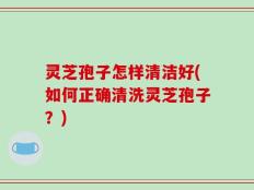 灵芝孢子怎样清洁好(如何正确清洗灵芝孢子？)
