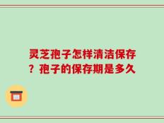 灵芝孢子怎样清洁保存？孢子的保存期是多久