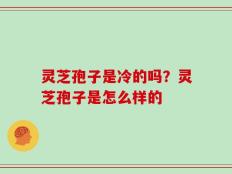 灵芝孢子是冷的吗？灵芝孢子是怎么样的