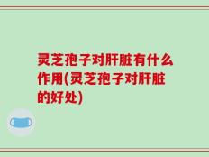 灵芝孢子对肝脏有什么作用(灵芝孢子对肝脏的好处)