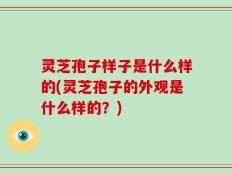 灵芝孢子样子是什么样的(灵芝孢子的外观是什么样的？)
