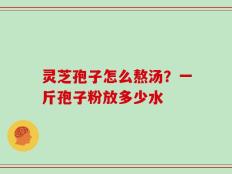 灵芝孢子怎么熬汤？一斤孢子粉放多少水