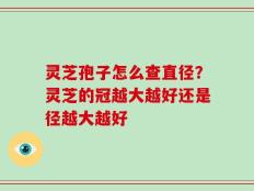 灵芝孢子怎么查直径？灵芝的冠越大越好还是径越大越好