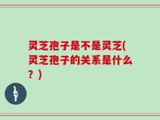 灵芝孢子是不是灵芝(灵芝孢子的关系是什么？)