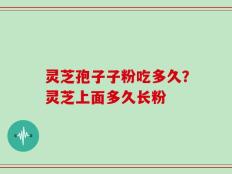 灵芝孢子子粉吃多久？灵芝上面多久长粉
