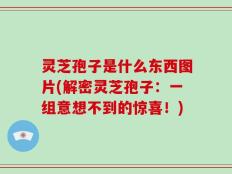 灵芝孢子是什么东西图片(解密灵芝孢子：一组意想不到的惊喜！)