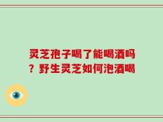 灵芝孢子喝了能喝酒吗？野生灵芝如何泡酒喝