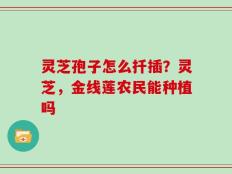 灵芝孢子怎么扦插？灵芝，金线莲农民能种植吗